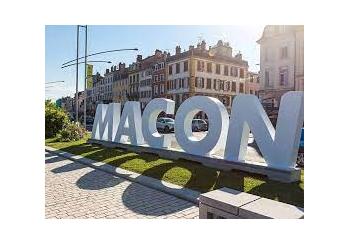 DEMENAGEUR PROFESSIONNEL A MACON